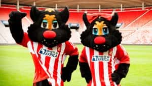 SAFC Mascots