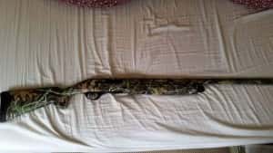 Two of the guns stolen - the .22 cz2452 bolt action rifle and Hatsun semi automatic shotgun