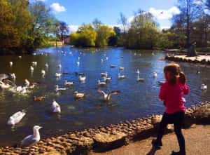 Winter Garden and Mowbray Park