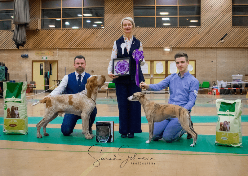 Sunderland and District Canine Society Open Dog Show: local canines compete for Crufts