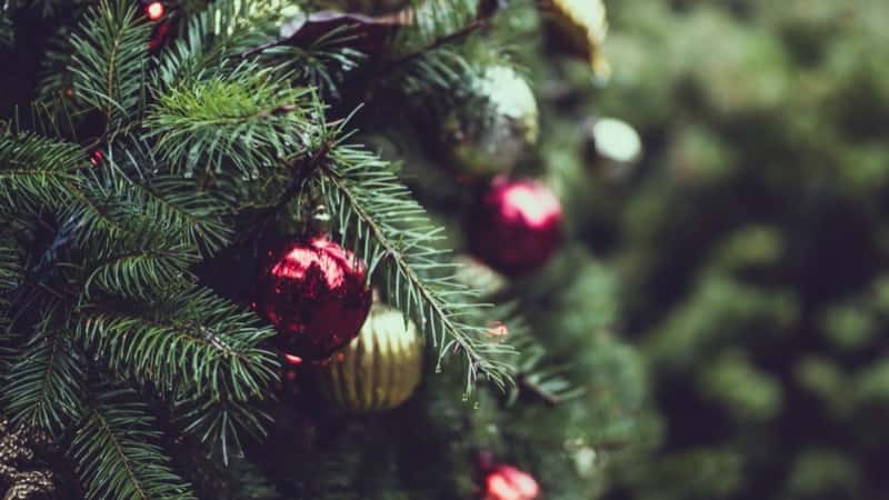 Sunderland carol service to raise funds for chosen mayoral charities