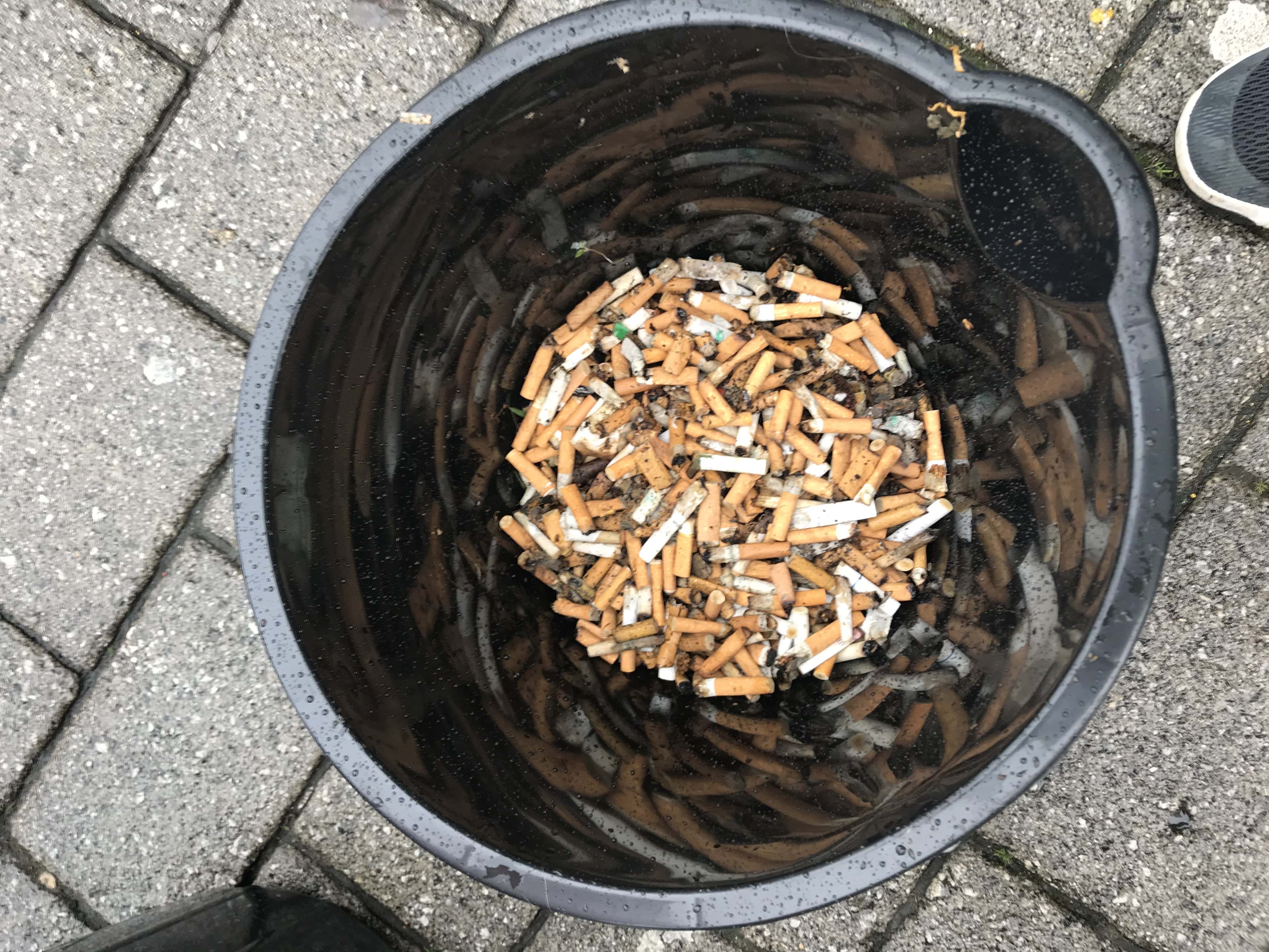 Sunderland Council continues its crackdown on City Centre littering